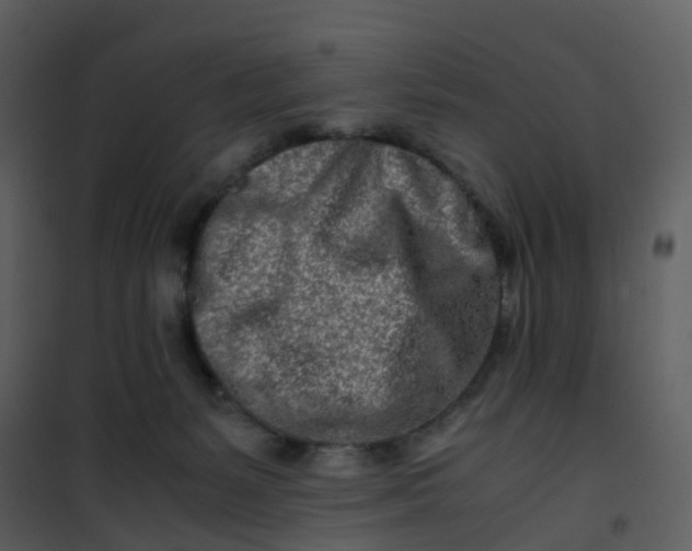 X0000101170127200807181433