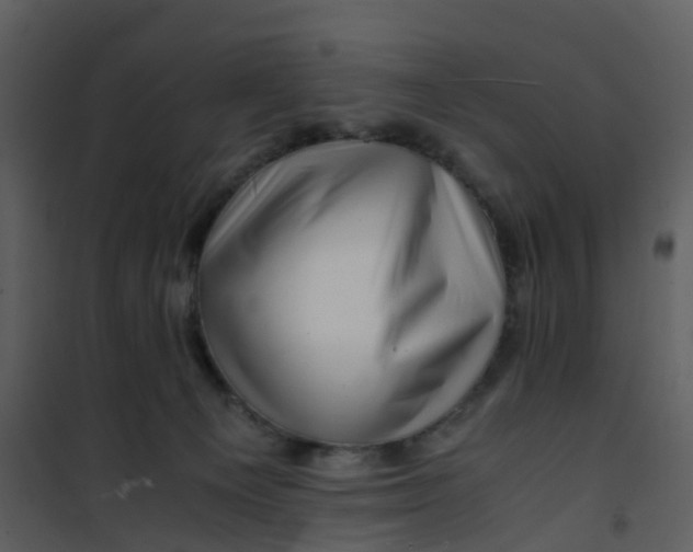 X0000101170129200807181433