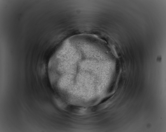 X0000101170130200807181433