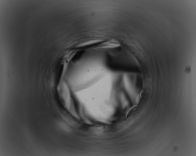 X0000101170131200807181433