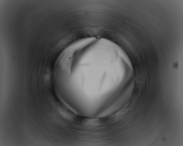 X0000101170132200807181433