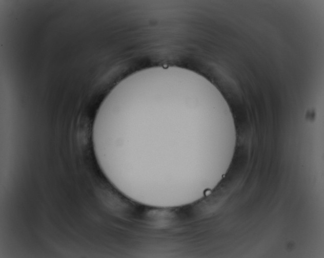 X0000101170133200807181433