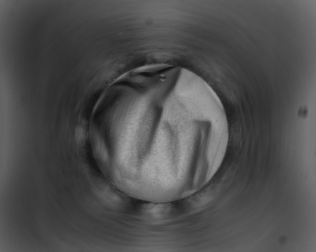 X0000101170135200807181433