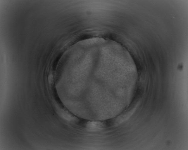 X0000101170137200807181433