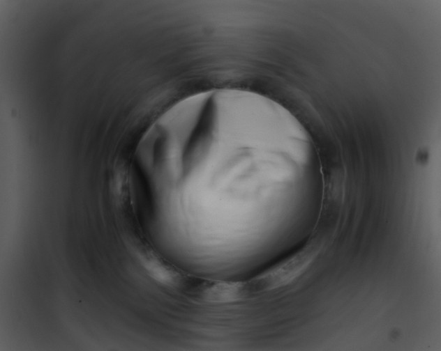 X0000101170138200807181433