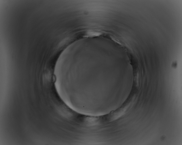 X0000101170139200807181433