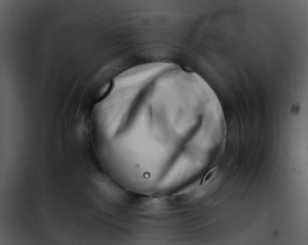 X0000101170140200807181432