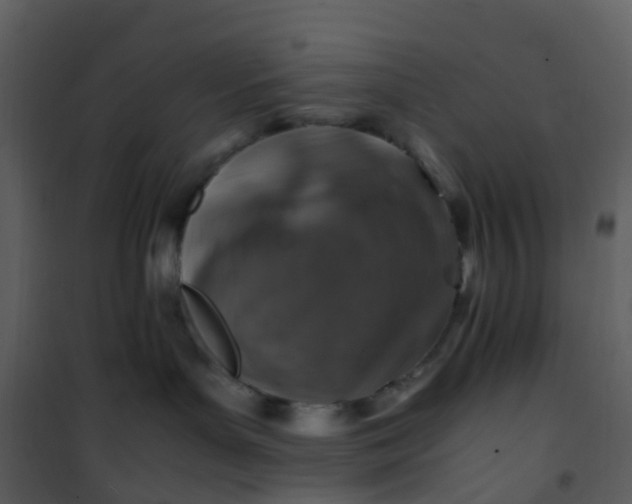X0000101170143200807181432