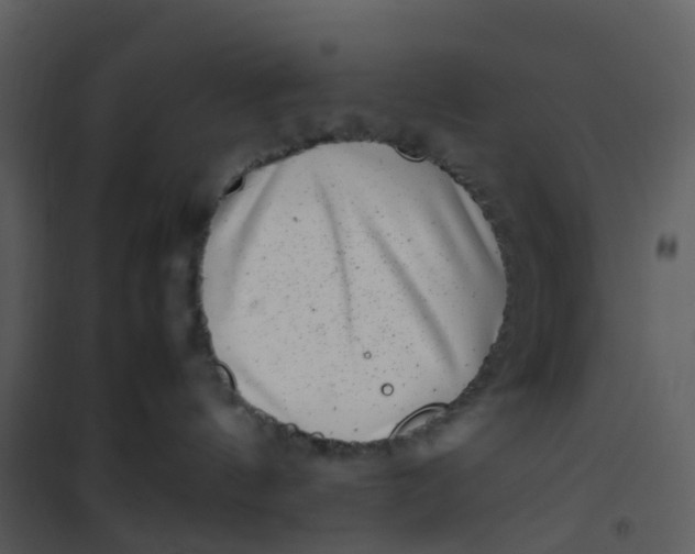 X0000101170144200807181432