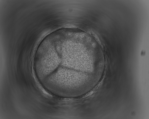 X0000101170145200807181432