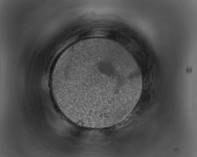 X0000101170146200807181432