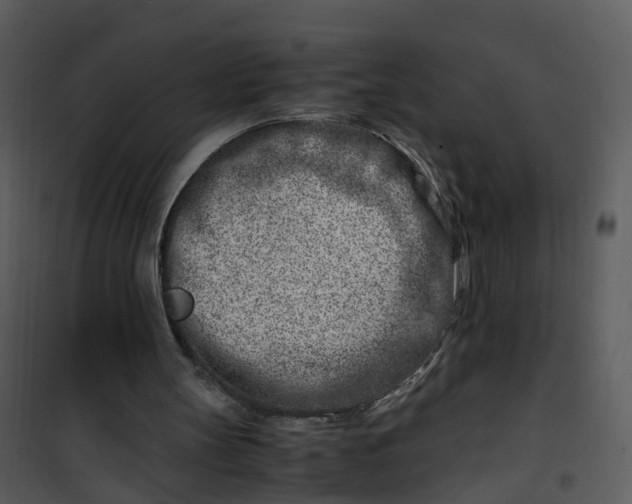 X0000101170147200807181432