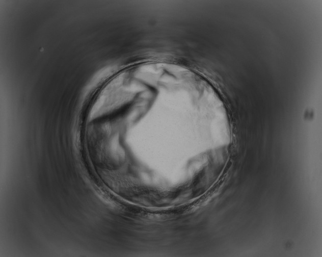 X0000101170149200807181432