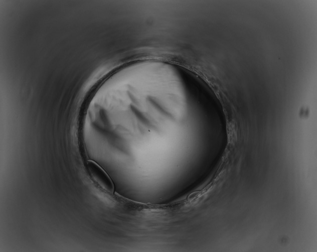 X0000101170150200807181432