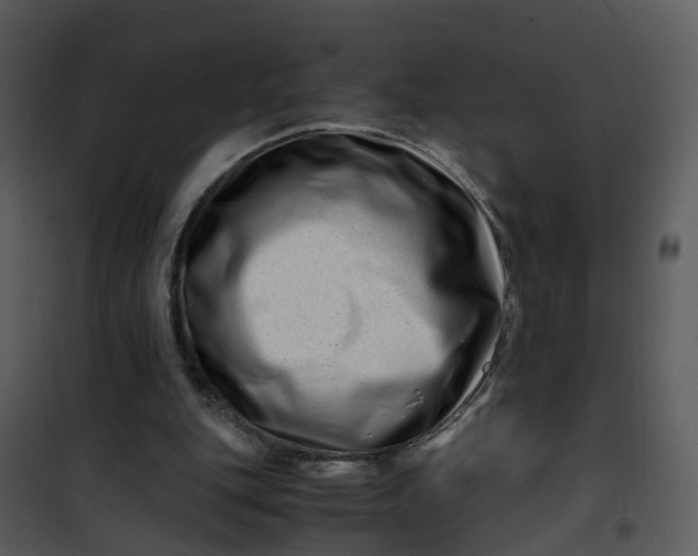 X0000101170151200807181432