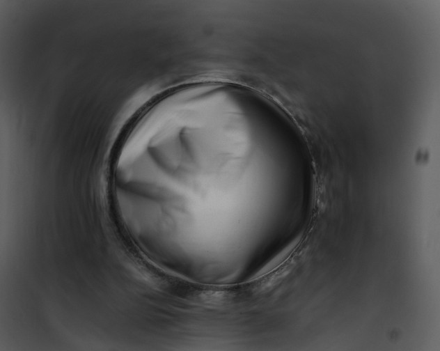 X0000101170152200807181432