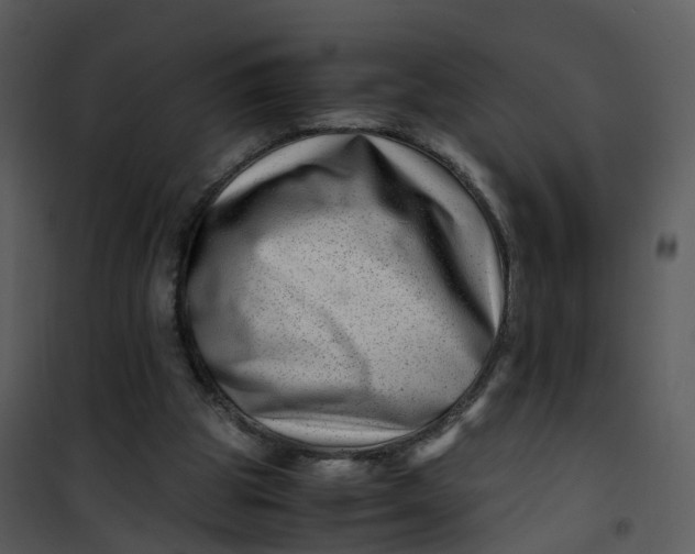 X0000101170153200807181432