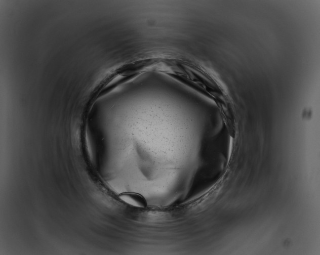 X0000101170154200807181432