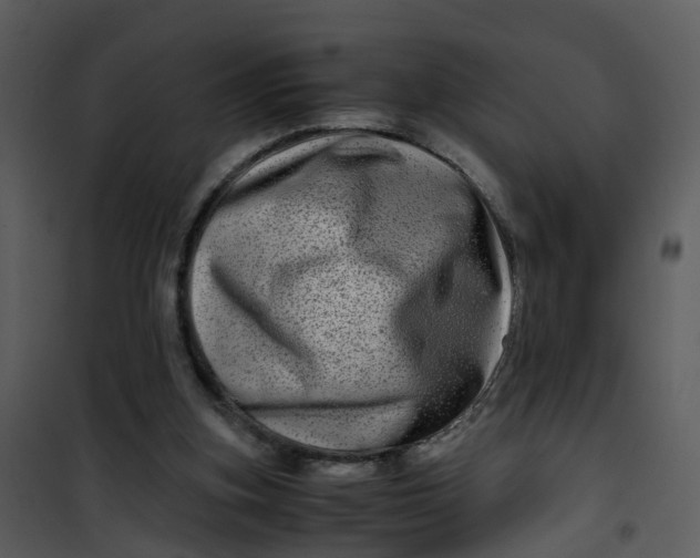 X0000101170155200807181432