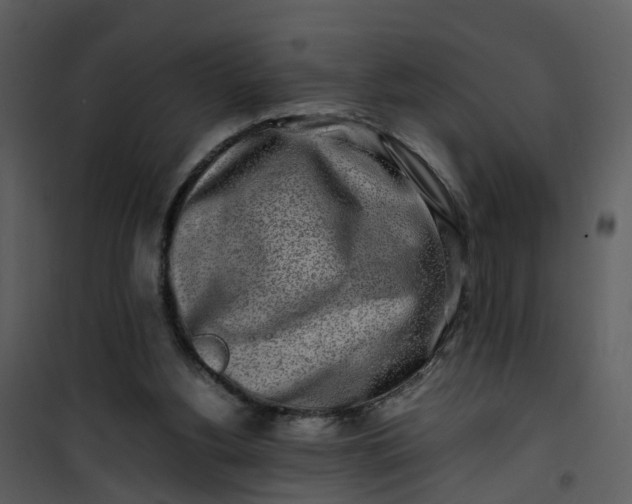 X0000101170156200807181432