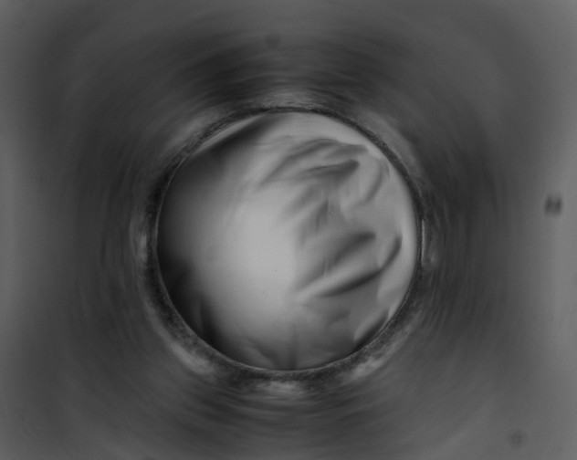 X0000101170157200807181432