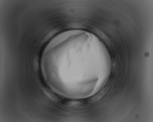 X0000101170158200807181432