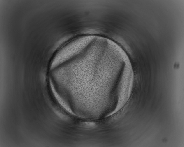 X0000101170159200807181432