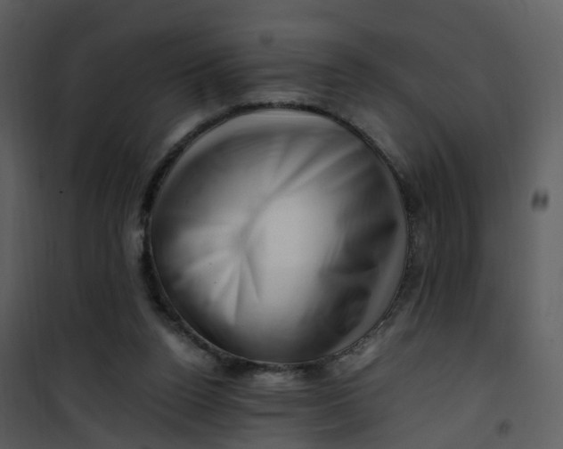 X0000101170160200807181432