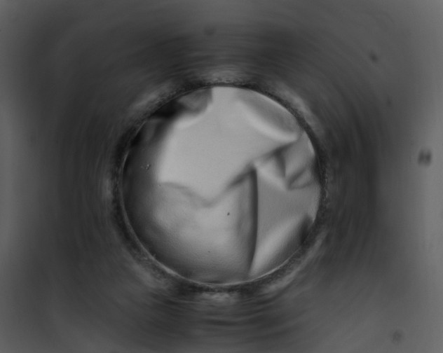 X0000101170161200807181432