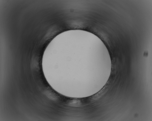 X0000101170162200807181432