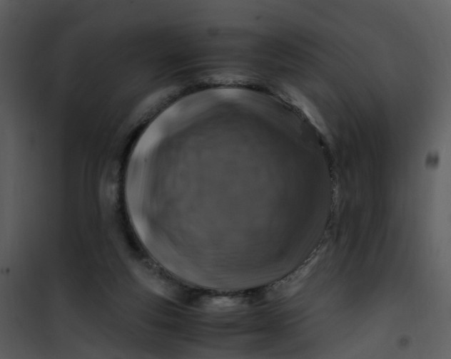 X0000101170163200807181432