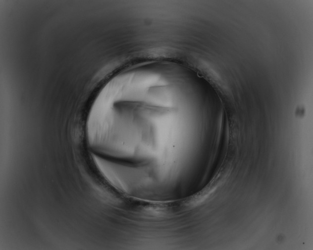 X0000101170164200807181432