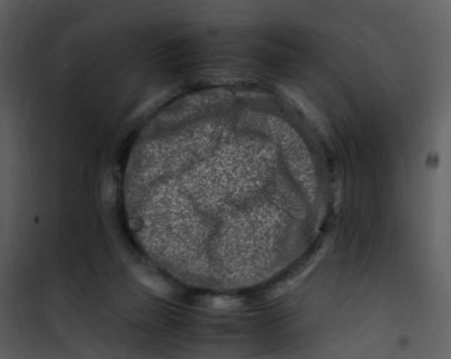 X0000101170165200807181432