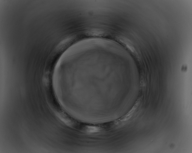X0000101170167200807181432
