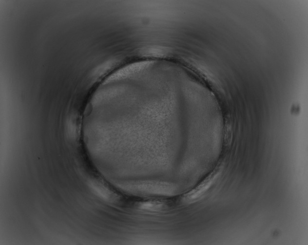 X0000101170168200807181432
