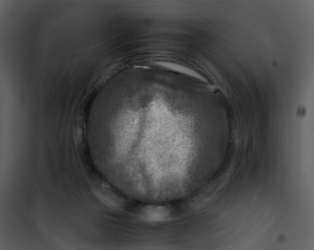 X0000101170169200807181432