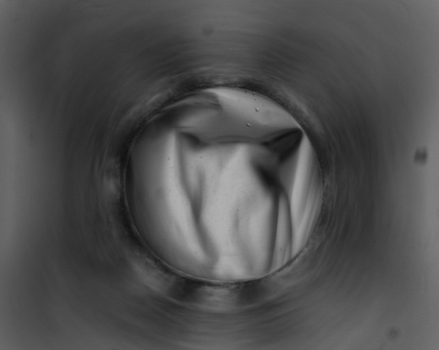 X0000101170170200807181432