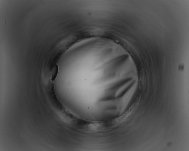 X0000101170172200807181432