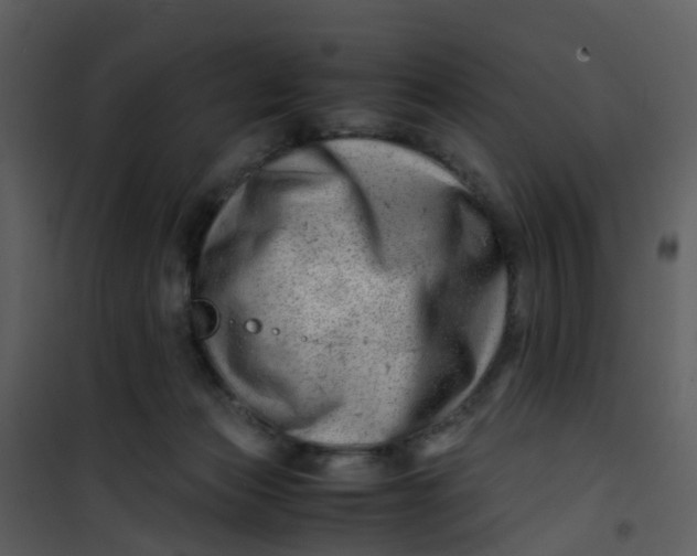 X0000101170173200807181432