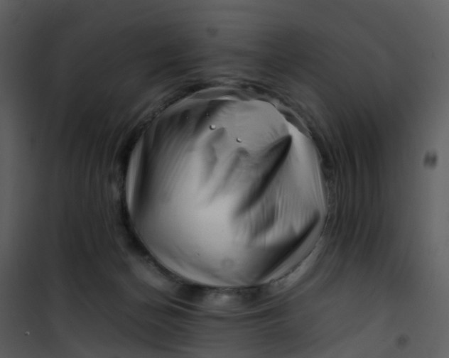X0000101170174200807181432