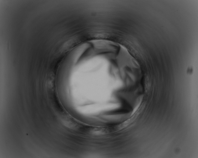 X0000101170175200807181432