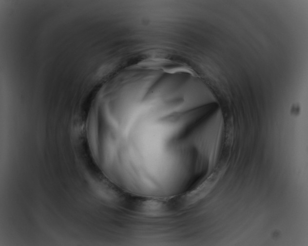 X0000101170176200807181432