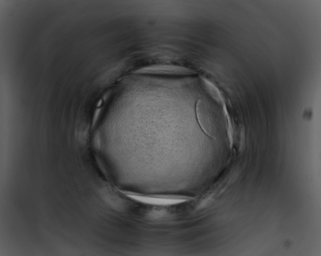 X0000101170177200807181432