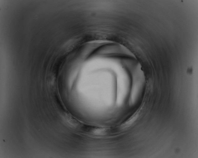 X0000101170178200807181432