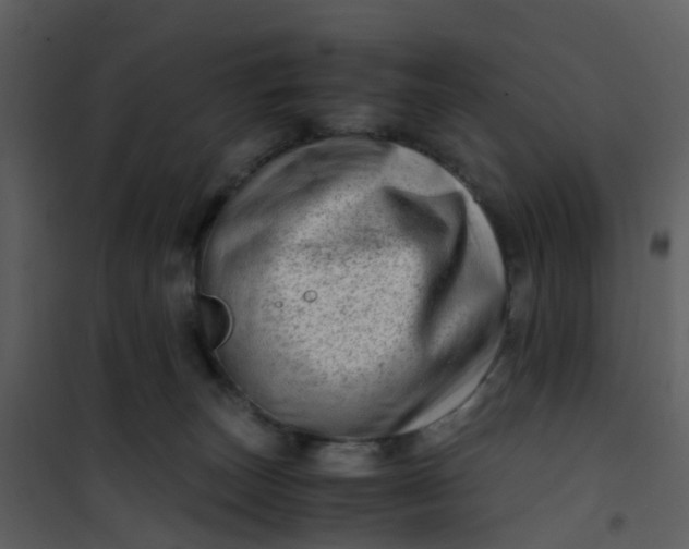 X0000101170179200807181432
