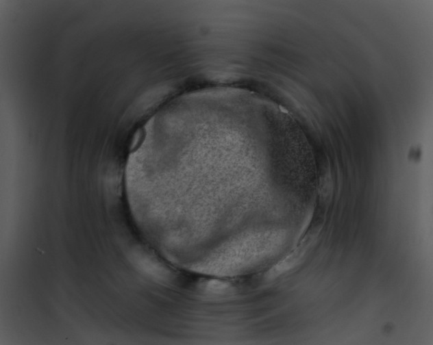 X0000101170180200807181432