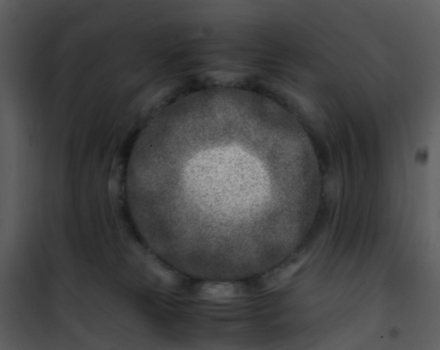 X0000101170181200807181432