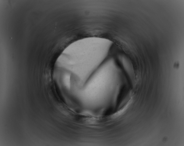 X0000101170182200807181432
