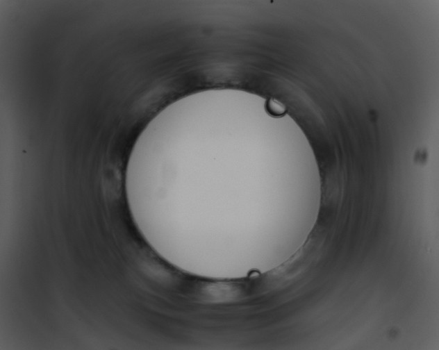 X0000101170183200807181432