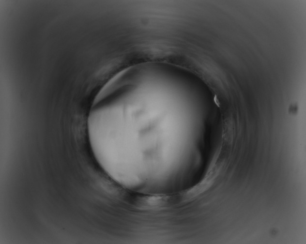 X0000101170184200807181432